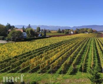 Appartement — Bel appartement au centre du village de 3 pièces d'env... — photo 3