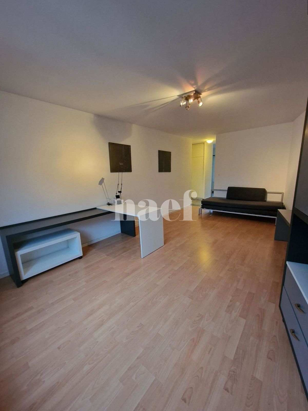 À louer : Appartement 1.5 Pieces Lausanne - Ref : 200217.4122 | Naef Immobilier