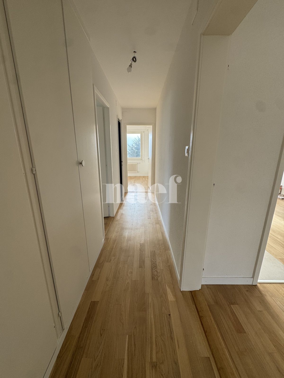 À louer : Appartement 5 Pieces Pully - Ref : 200223.2021 | Naef Immobilier