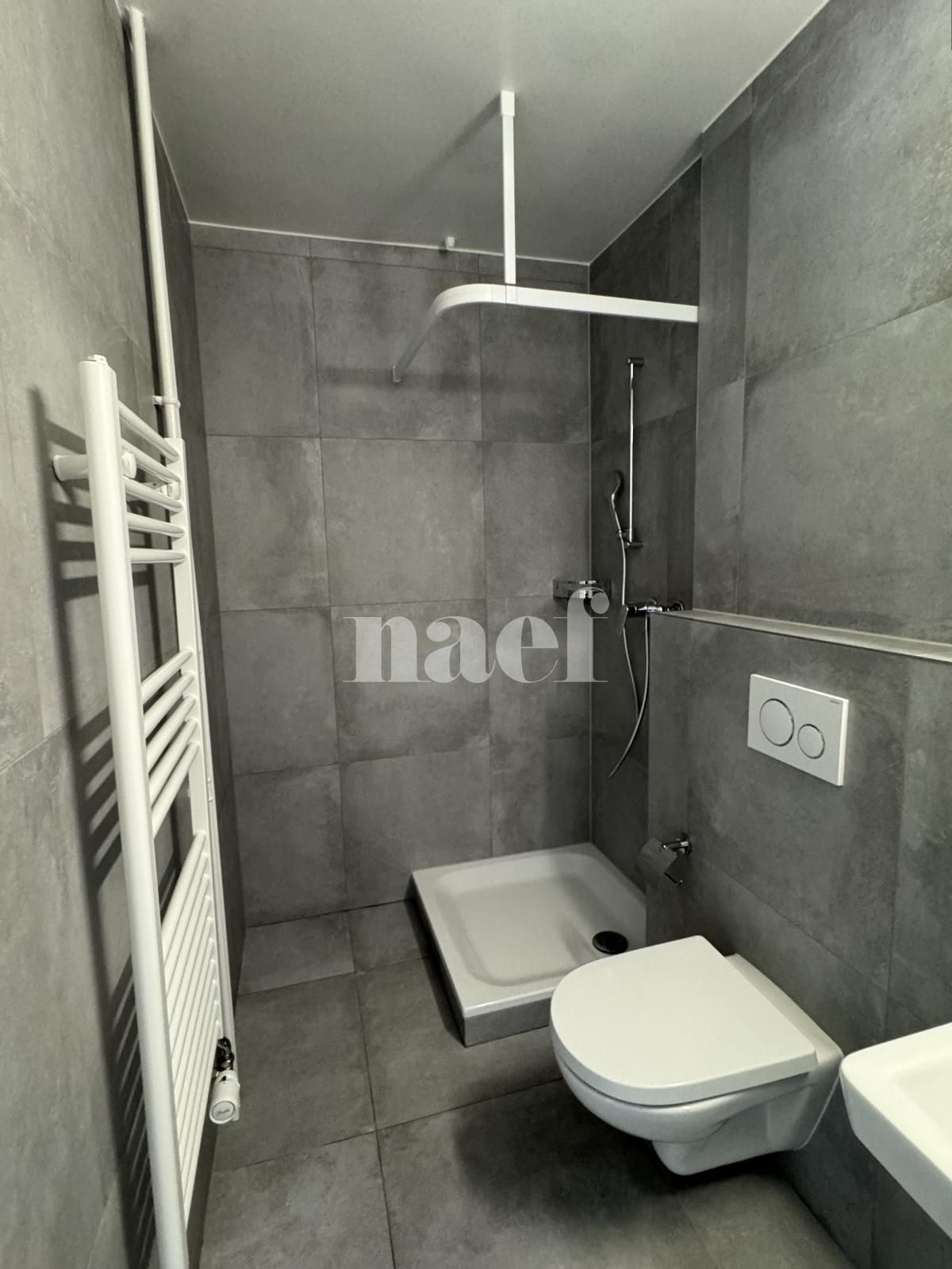 À louer : Appartement 1.5 Pieces Renens - Ref : 200224.1012 | Naef Immobilier