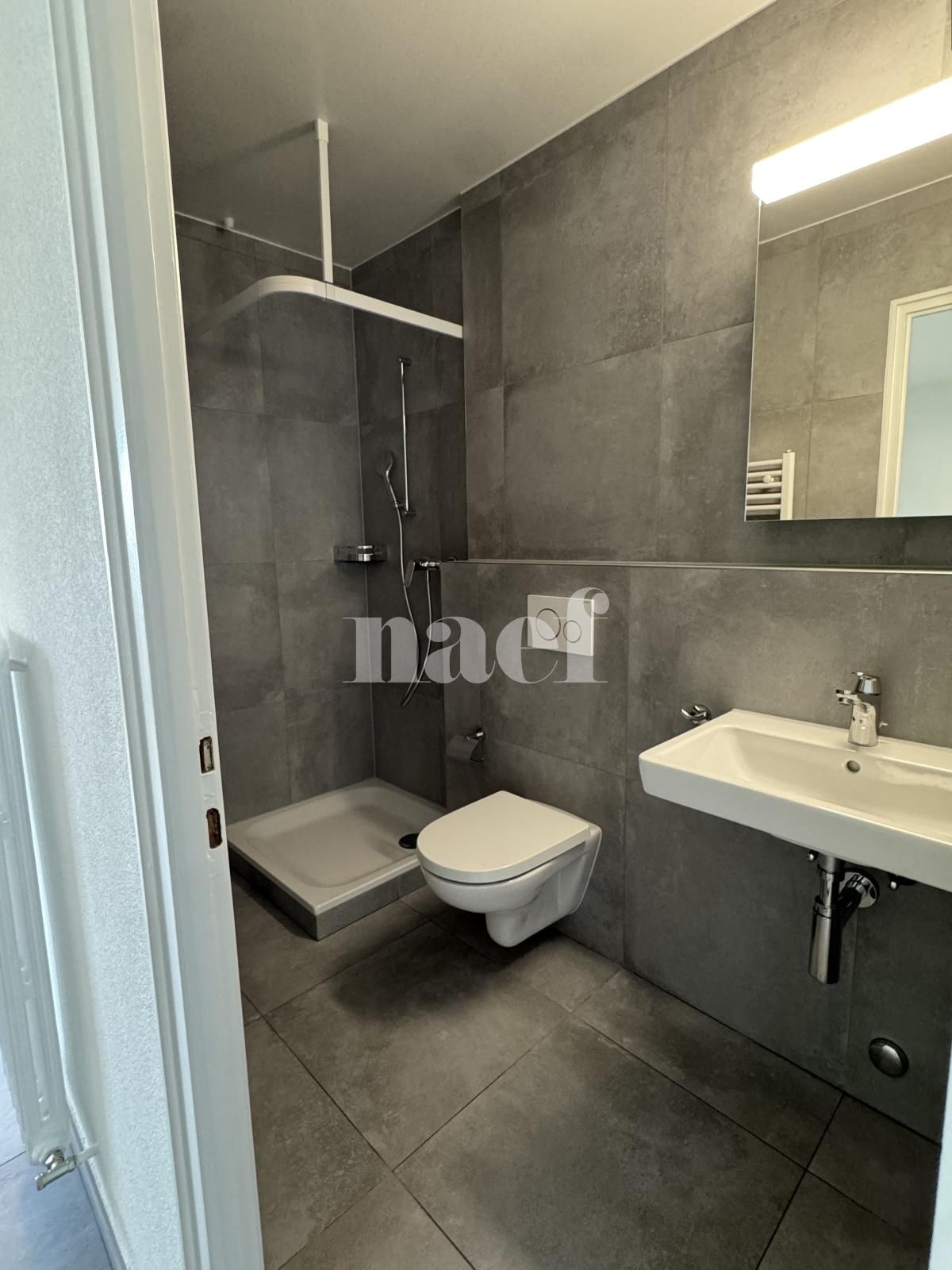 À louer : Appartement 1.5 Pieces Renens - Ref : 200224.1012 | Naef Immobilier
