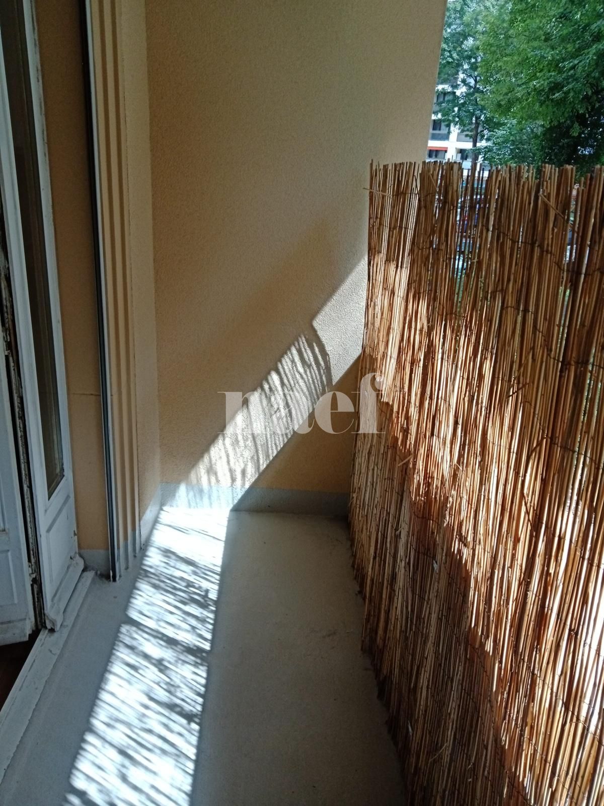 À louer : Appartement 2 Pieces Genève - Ref : 200715.3 | Naef Immobilier