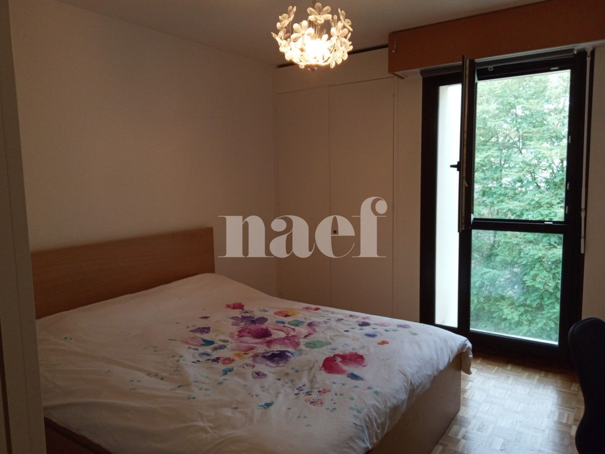 À louer : Appartement 3 Pieces Meyrin - Ref : 200808.3031 | Naef Immobilier