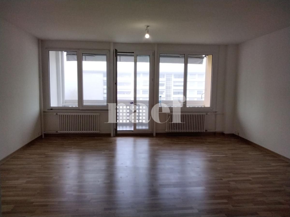 À louer : Appartement 8.5 Pieces Petit-Lancy - Ref : 201121.7001 | Naef Immobilier