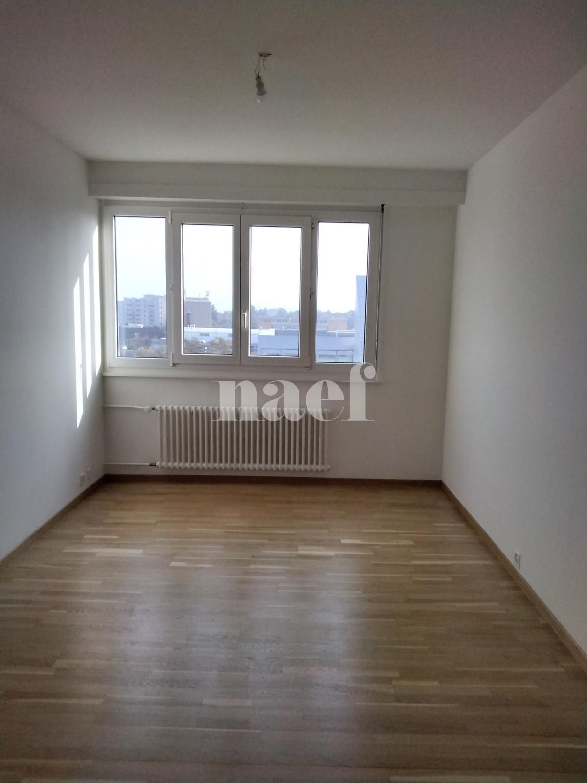 À louer : Appartement 8.5 Pieces Petit-Lancy - Ref : 201121.7001 | Naef Immobilier
