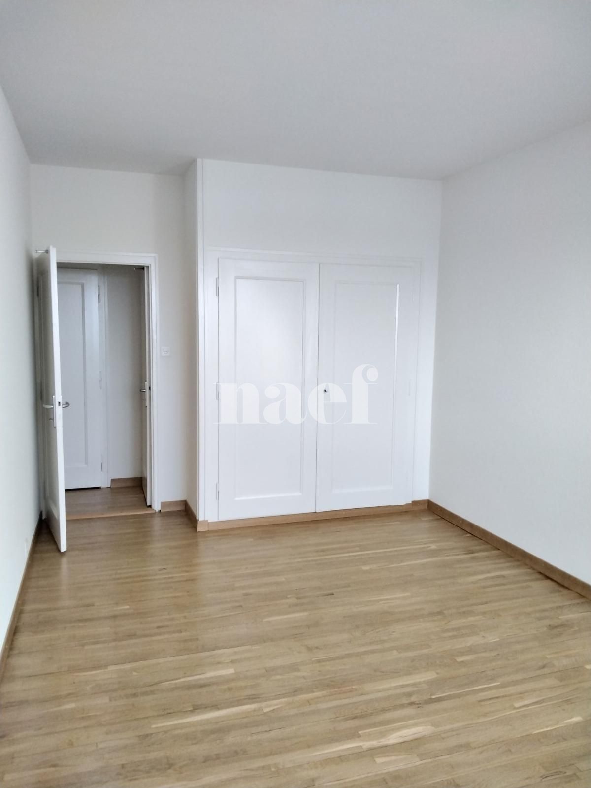 À louer : Appartement 8.5 Pieces Petit-Lancy - Ref : 201121.7001 | Naef Immobilier