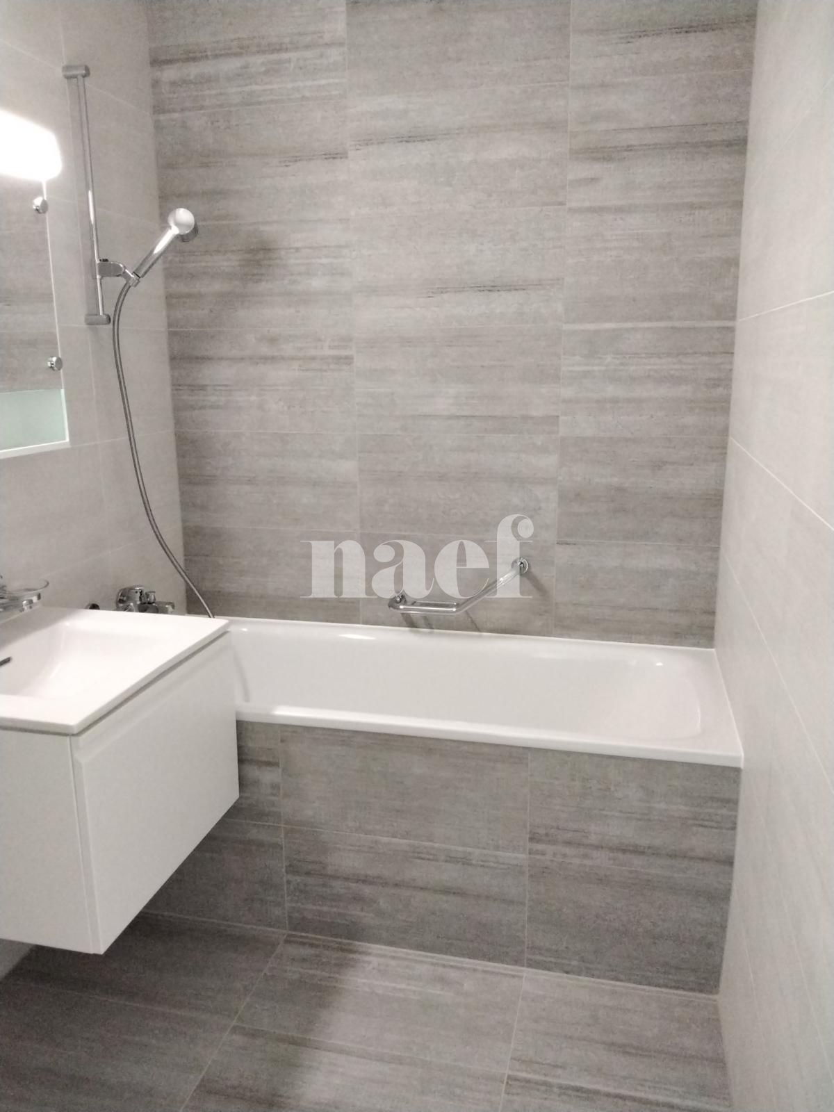À louer : Appartement 8.5 Pieces Petit-Lancy - Ref : 201121.7001 | Naef Immobilier