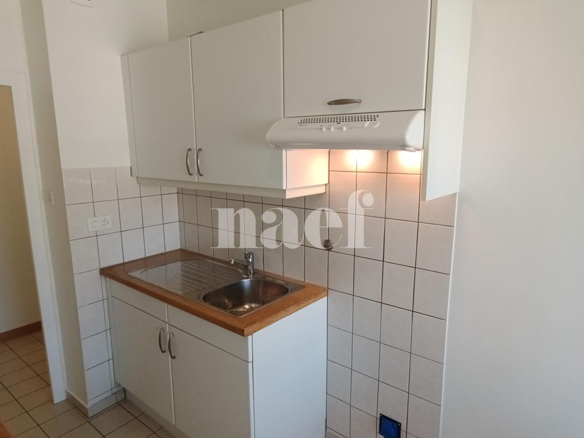À louer : Appartement 4 Pieces Petit-Lancy - Ref : 201122.6001 | Naef Immobilier