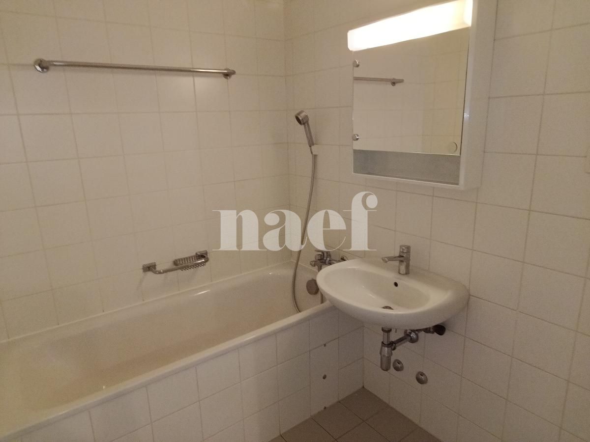 À louer : Appartement 4 Pieces Petit-Lancy - Ref : 201122.6001 | Naef Immobilier