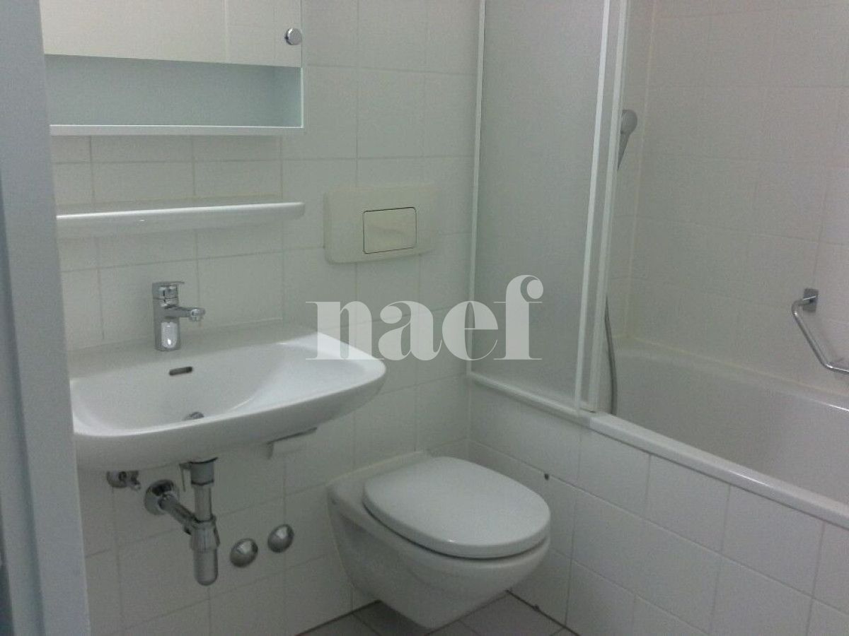 À louer : Appartement 3 Pieces Petit-Lancy - Ref : 201128.1001 | Naef Immobilier