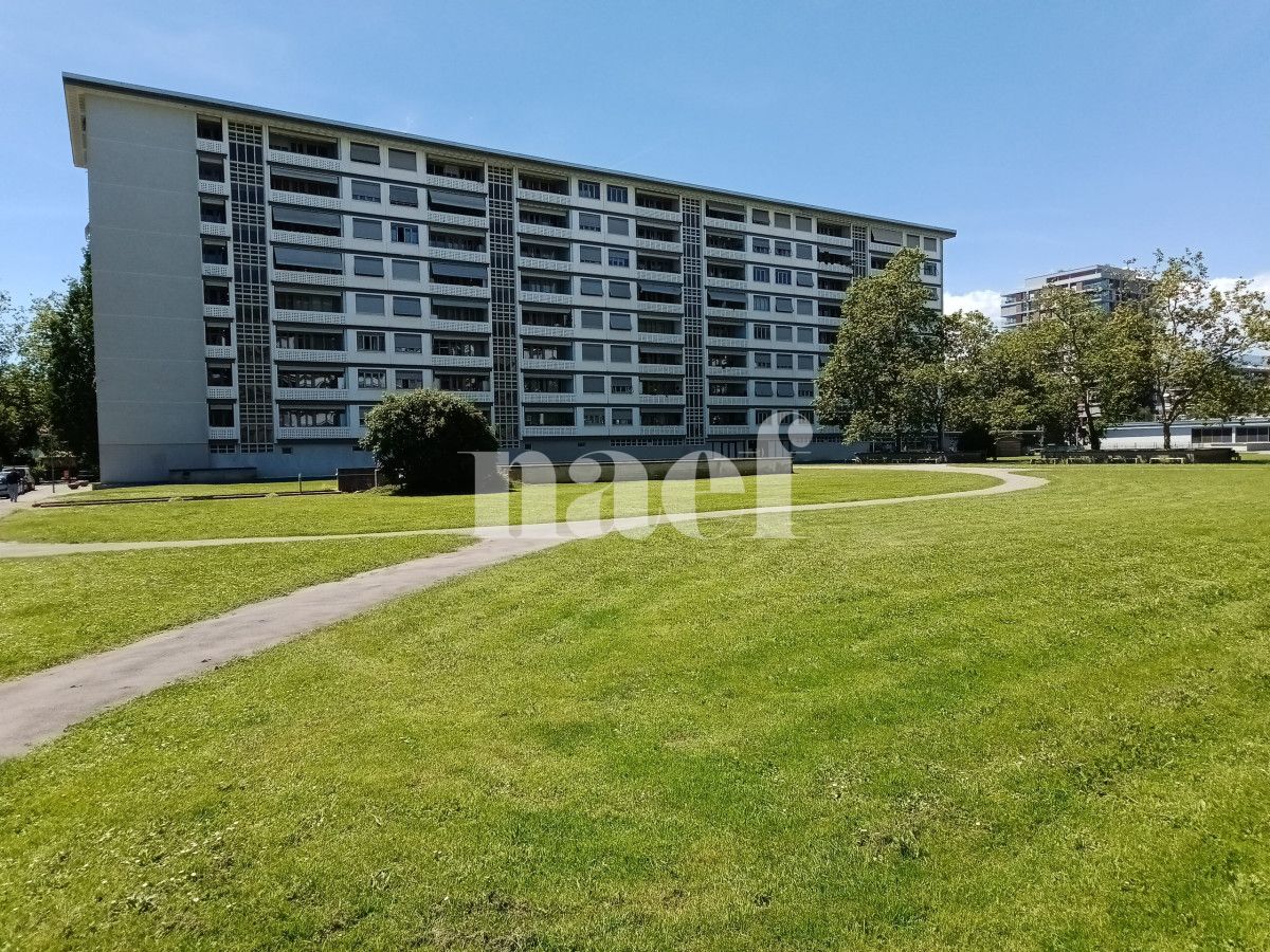 À louer : Appartement 6 Pieces Petit-Lancy - Ref : 201129.8001 | Naef Immobilier