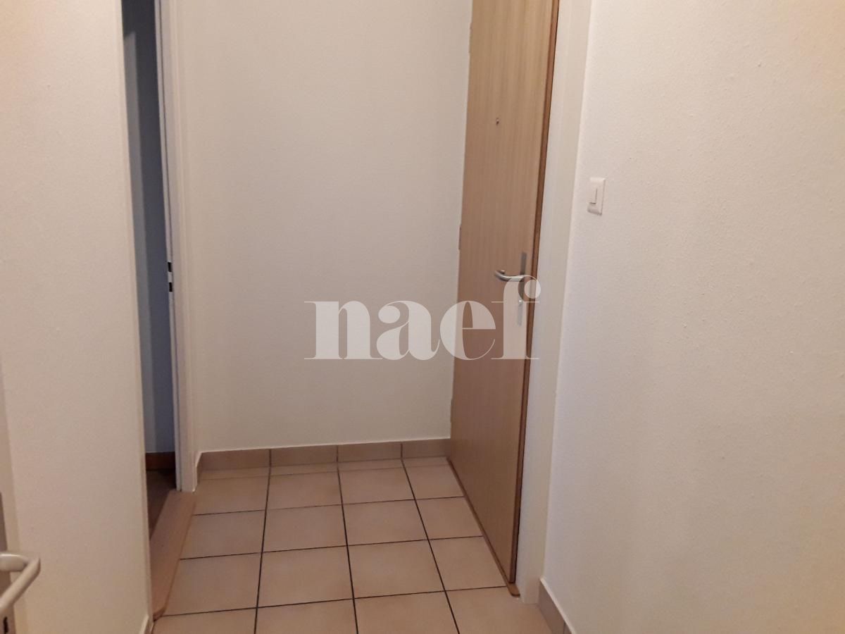 À louer : Appartement 4 Pieces Petit-Lancy - Ref : 201130.7002 | Naef Immobilier