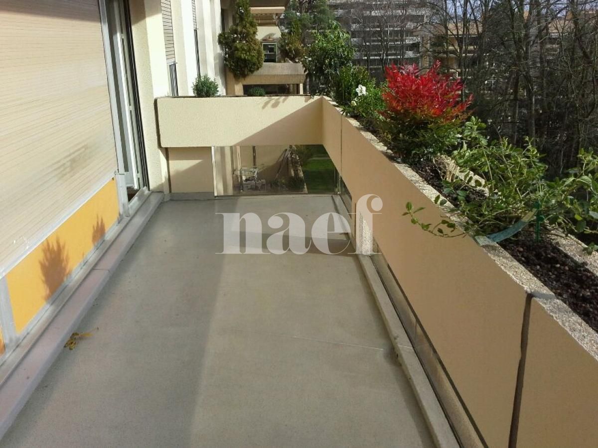 À louer : Appartement 7 Pieces Genève - Ref : 201134.5001 | Naef Immobilier