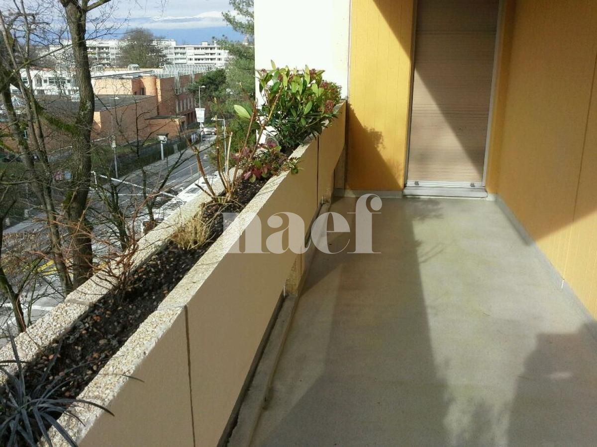 À louer : Appartement 7 Pieces Genève - Ref : 201134.5001 | Naef Immobilier