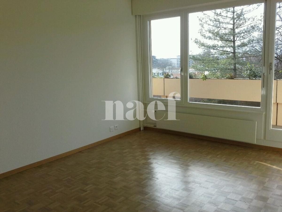 À louer : Appartement 7 Pieces Genève - Ref : 201134.5001 | Naef Immobilier