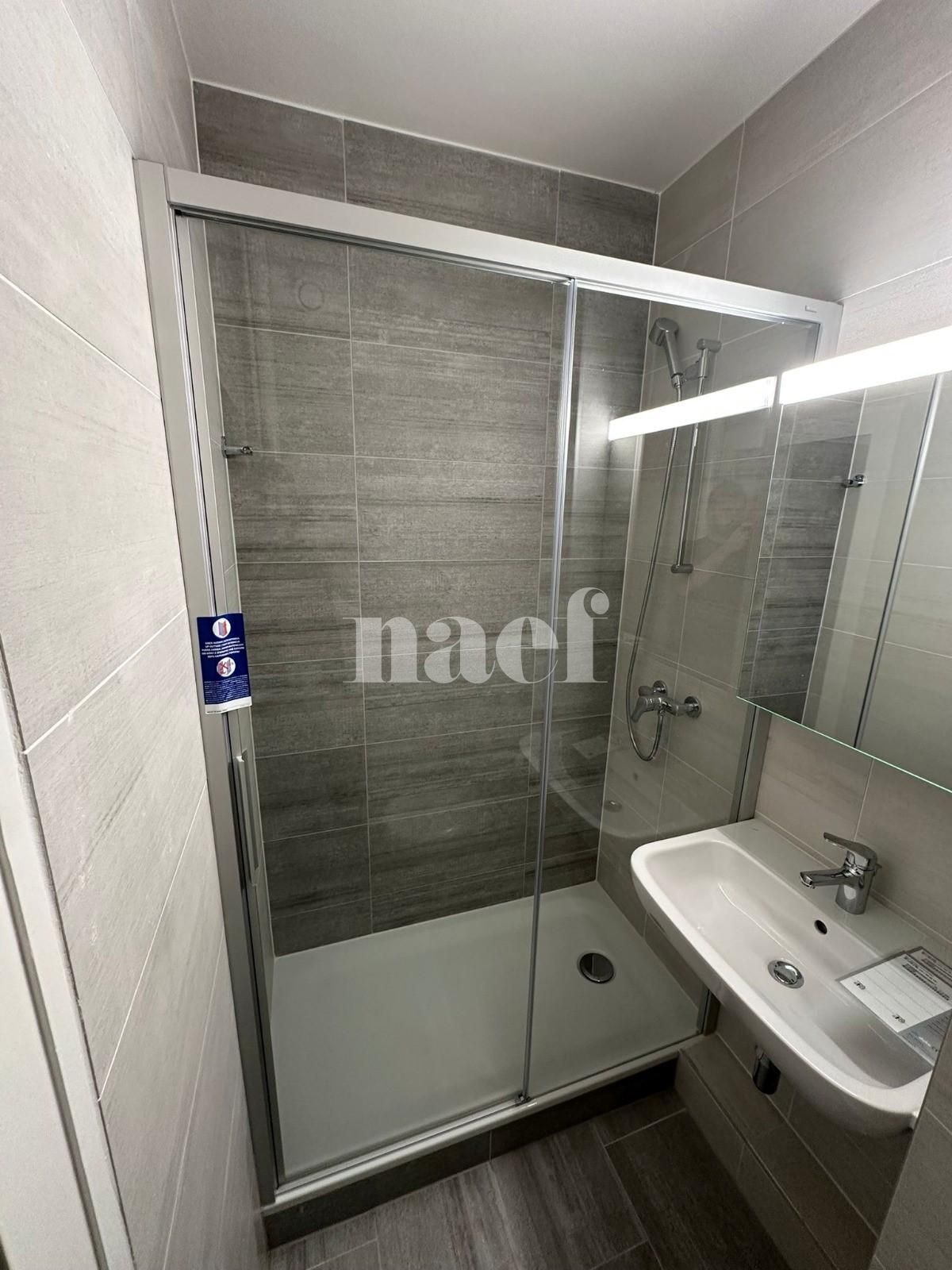 À louer : Appartement 1 Pieces Thônex - Ref : 201144.8009 | Naef Immobilier