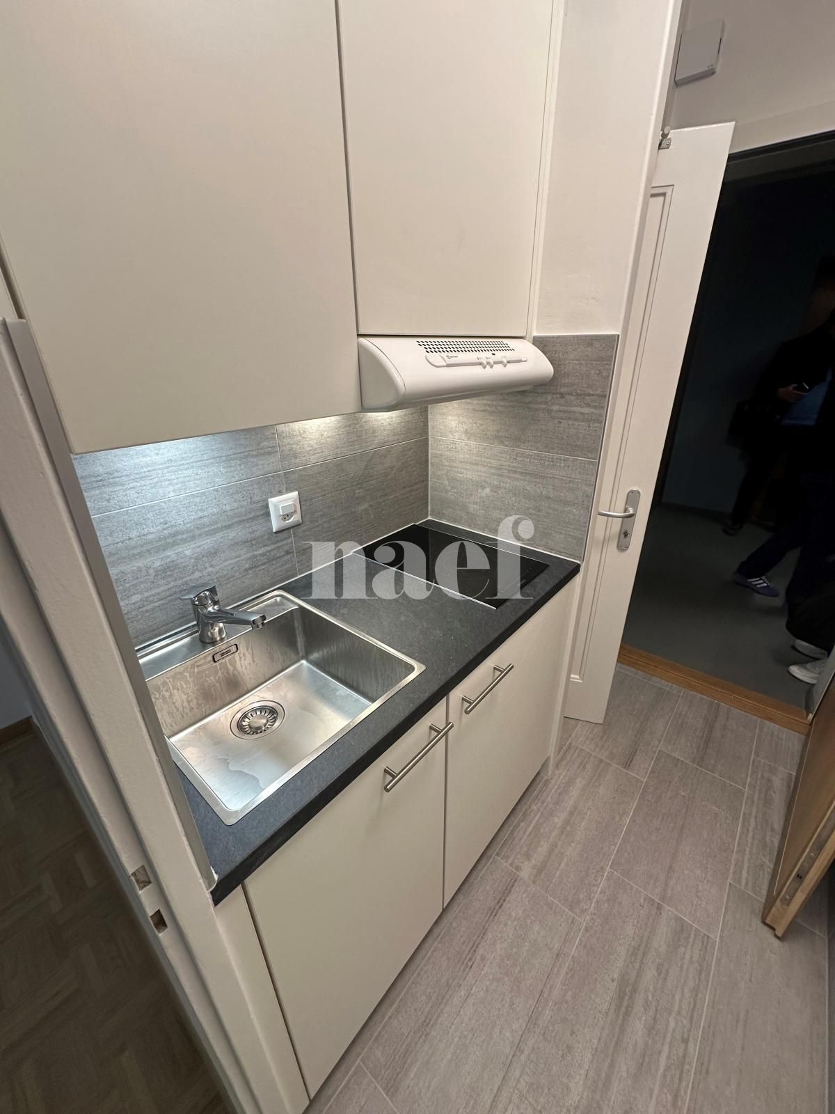 À louer : Appartement 1 Pieces Thônex - Ref : 201144.8009 | Naef Immobilier