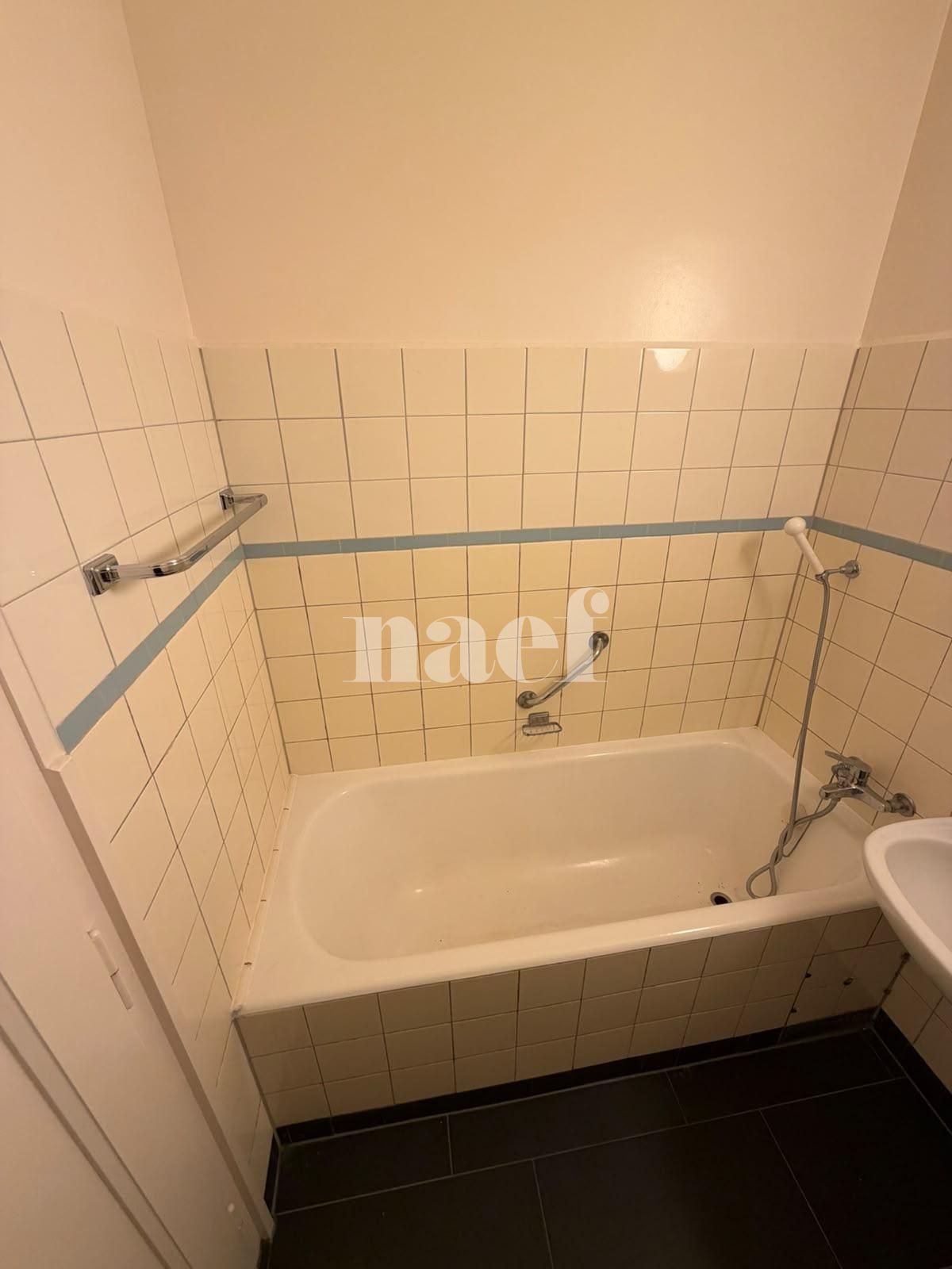 À louer : Appartement 2.5 Pieces Thônex - Ref : 201144.9007 | Naef Immobilier