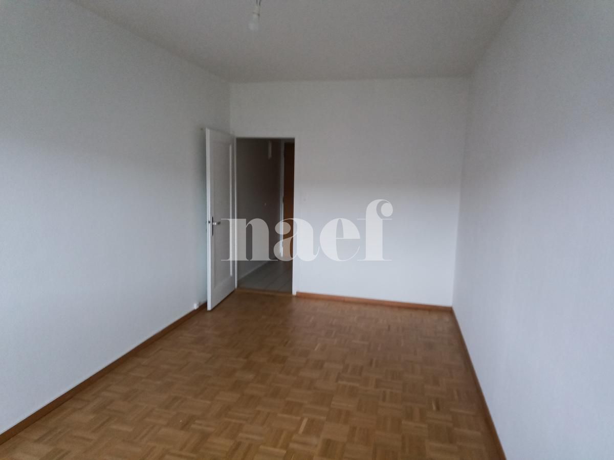 À louer : Appartement 1 Pieces Thônex - Ref : 201147.2002 | Naef Immobilier