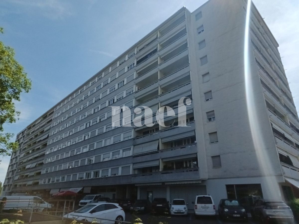 À louer : Appartement 2.5 Pieces Thônex - Ref : 201147.6011 | Naef Immobilier