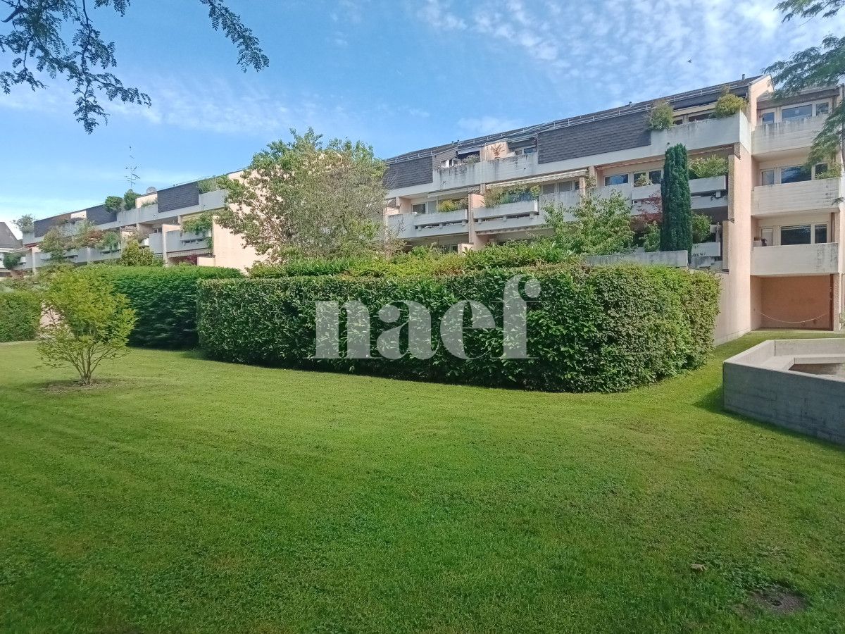 À louer : Appartement 5 Pieces Puplinge - Ref : 201158.2001 | Naef Immobilier