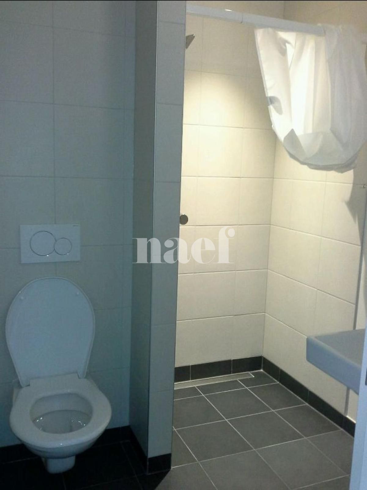 À louer : Appartement 2 Pieces Genève - Ref : 201195.8803 | Naef Immobilier