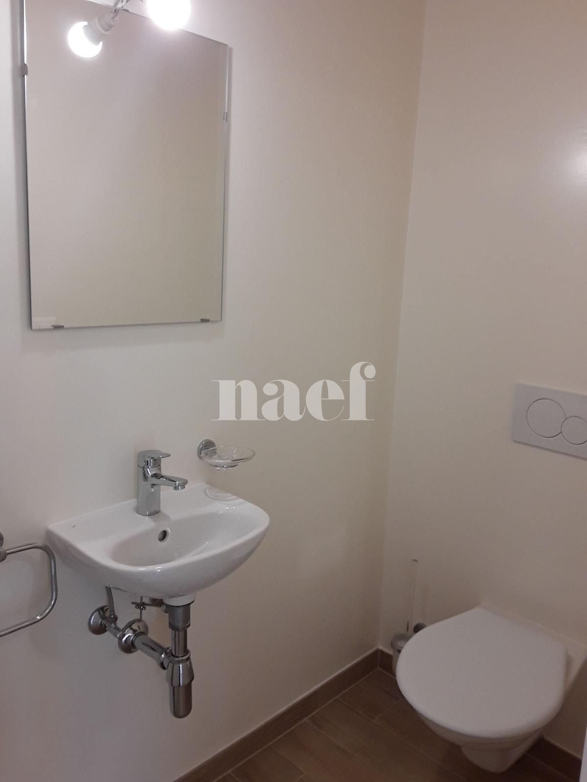 À louer : Appartement 6 Pieces Meyrin - Ref : 201204.4006 | Naef Immobilier