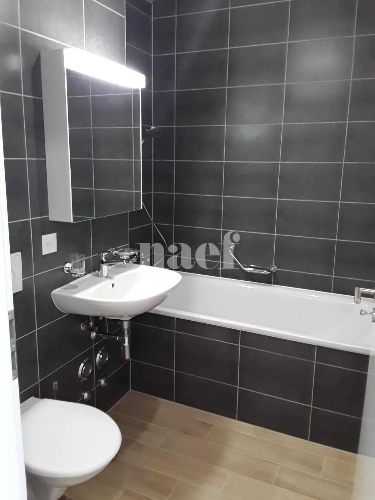 À louer : Appartement 6 Pieces Meyrin - Ref : 201204.4006 | Naef Immobilier