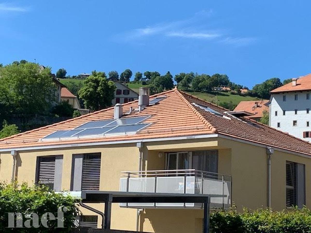 À louer : Parking  Moudon - Ref : 201331.60016 | Naef Immobilier