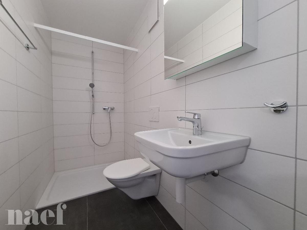 À louer : Appartement 4.5 Pieces Dompierre FR - Ref : 201340.1007 | Naef Immobilier