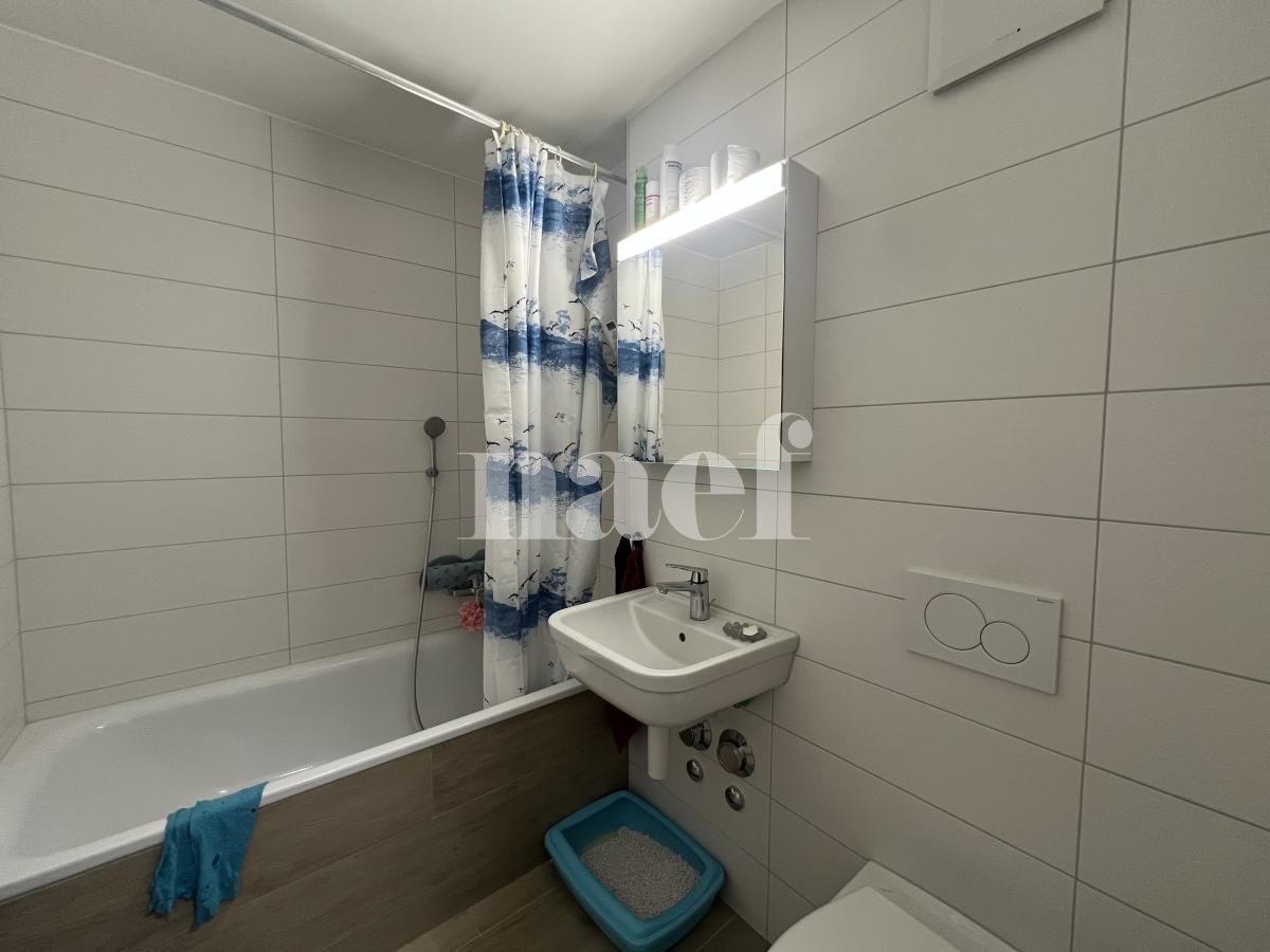 À louer : Appartement 3.5 Pieces Dompierre FR - Ref : 201340.1008 | Naef Immobilier