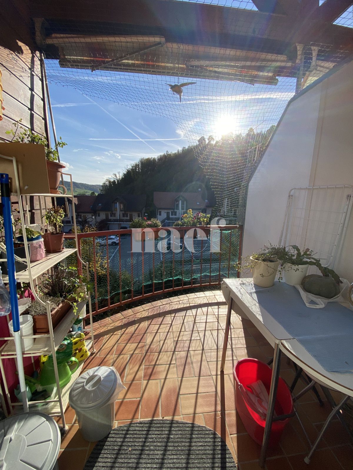 À louer : Appartement 3 Pieces Lucens - Ref : 201346.3002 | Naef Immobilier