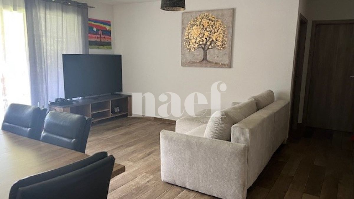 À louer : Appartement 3.5 Pieces Roche - Ref : 201355.1003 | Naef Immobilier