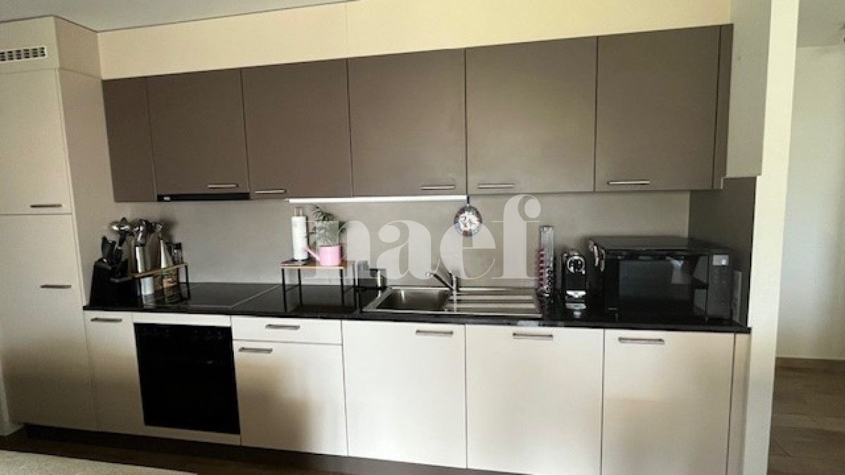 À louer : Appartement 3.5 Pieces Roche - Ref : 201355.1003 | Naef Immobilier