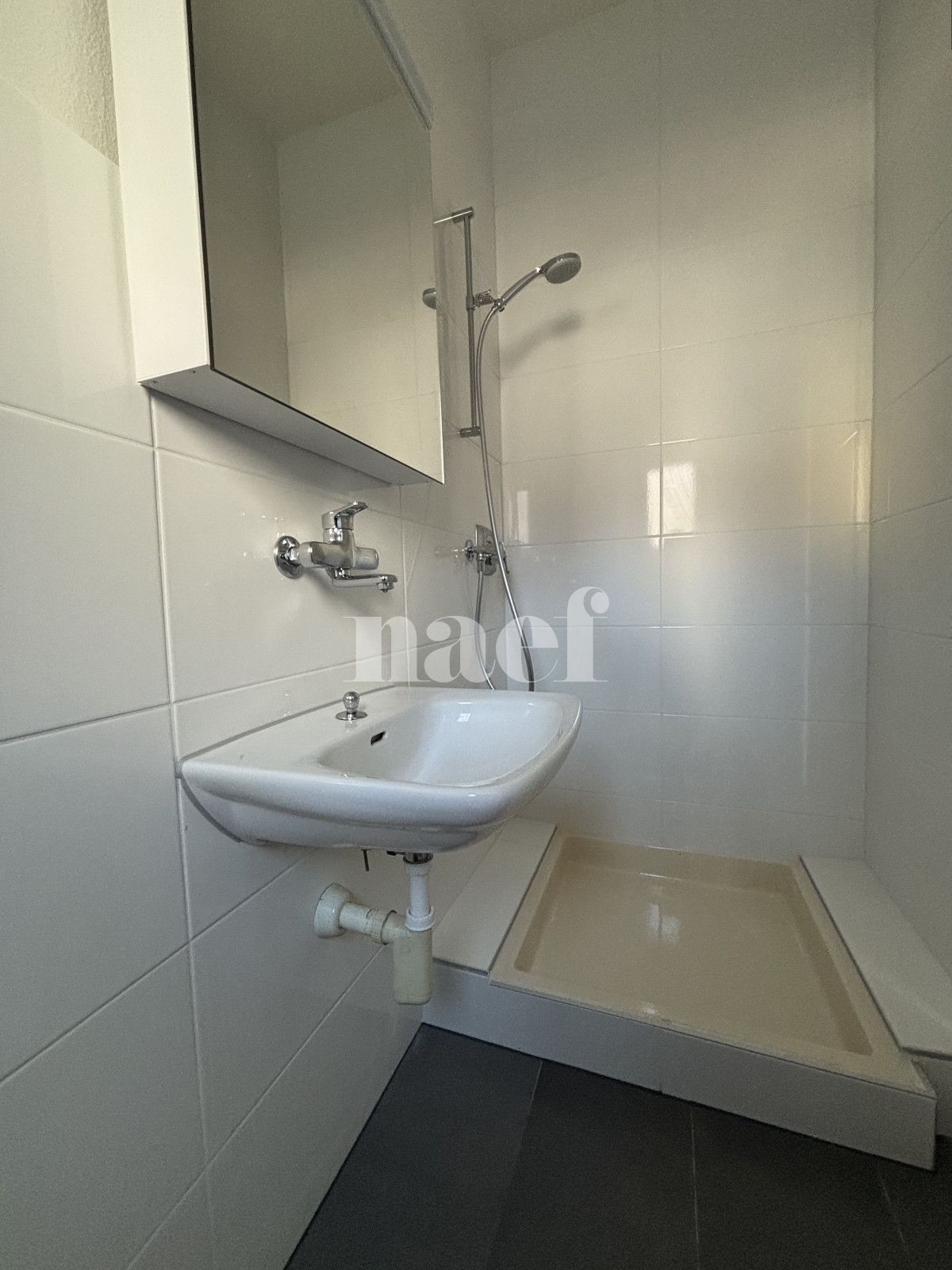 À louer : Appartement 1.5 Pieces Le Landeron - Ref : 201362.1 | Naef Immobilier
