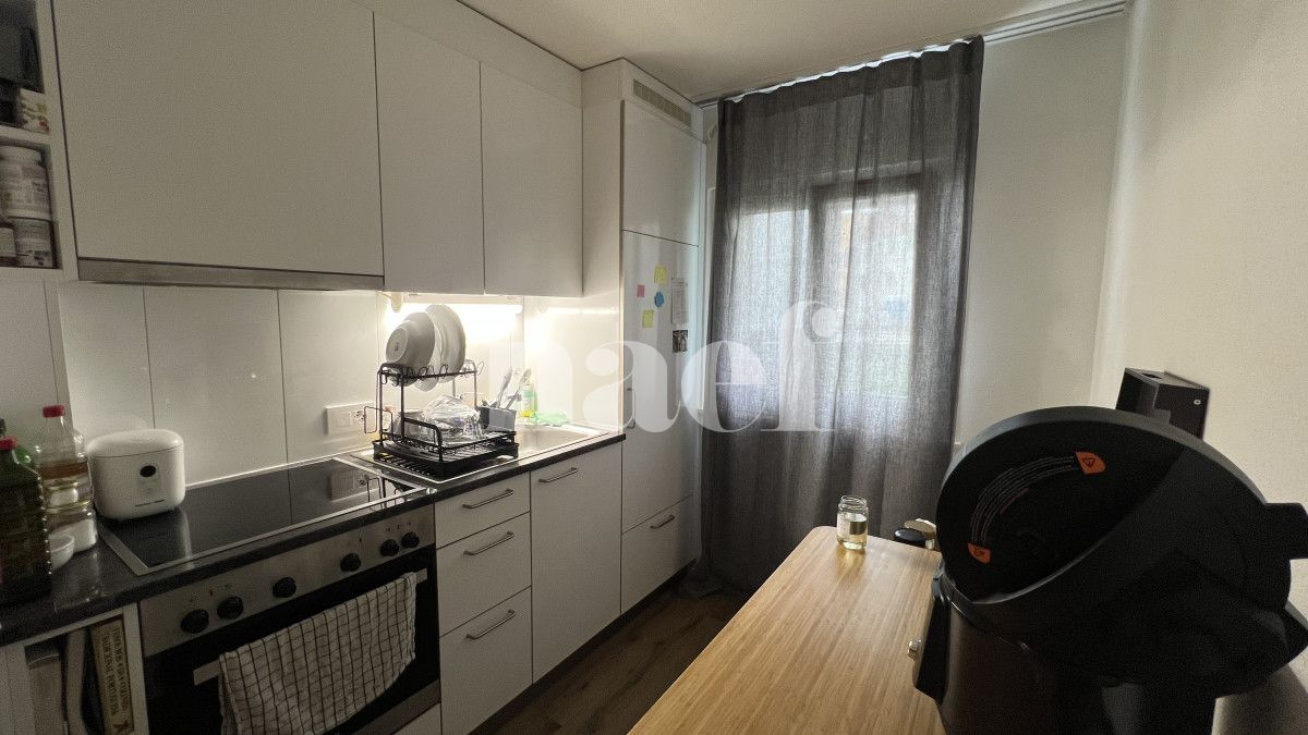 À louer : Appartement 1.5 Pieces Broc - Ref : 201366.2 | Naef Immobilier
