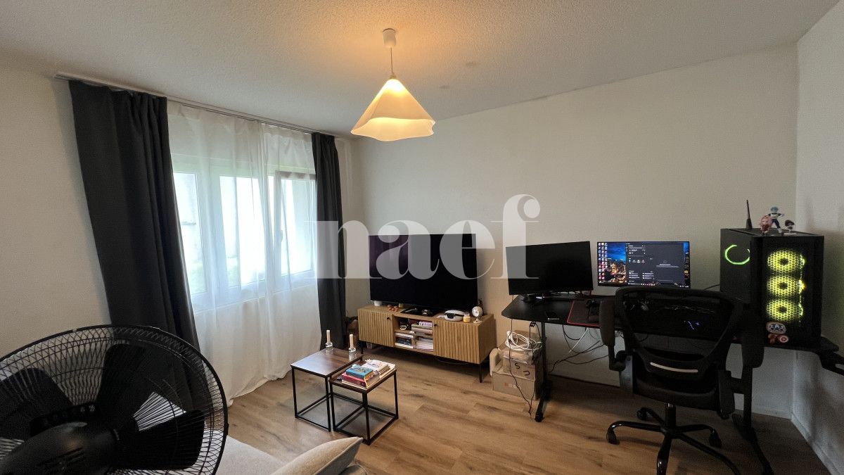 À louer : Appartement 1.5 Pieces Broc - Ref : 201366.2 | Naef Immobilier