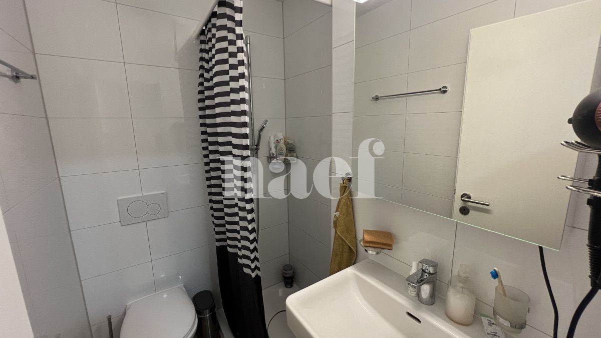 À louer : Appartement 1.5 Pieces Broc - Ref : 201366.2 | Naef Immobilier