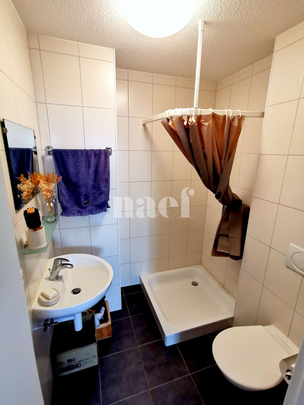 À louer : Appartement 4.5 Pieces Constantine - Ref : 201373.1002 | Naef Immobilier