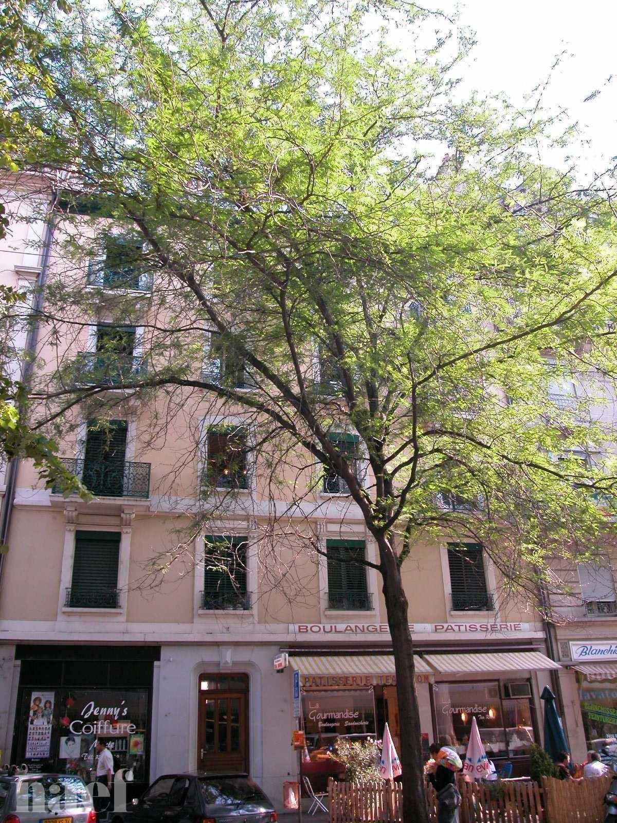 À louer : Appartement 2 Pieces Genève - Ref : 201400.2021 | Naef Immobilier