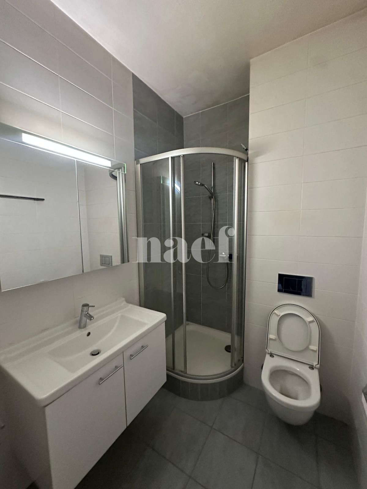 À louer : Appartement 2 Pieces Genève - Ref : 201421.4002 | Naef Immobilier