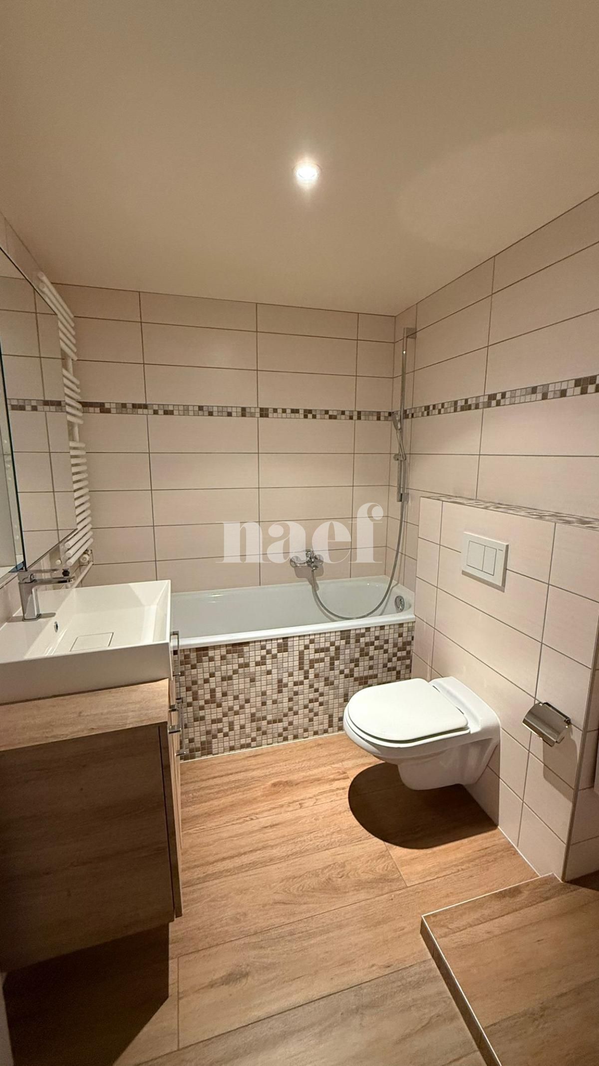 À louer : Appartement 3.5 Pieces Petit Lancy - Ref : 201506.3003 | Naef Immobilier