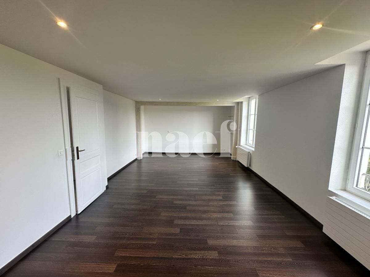 À louer : Appartement 2 Pieces Petit Lancy - Ref : 201506.3004 | Naef Immobilier