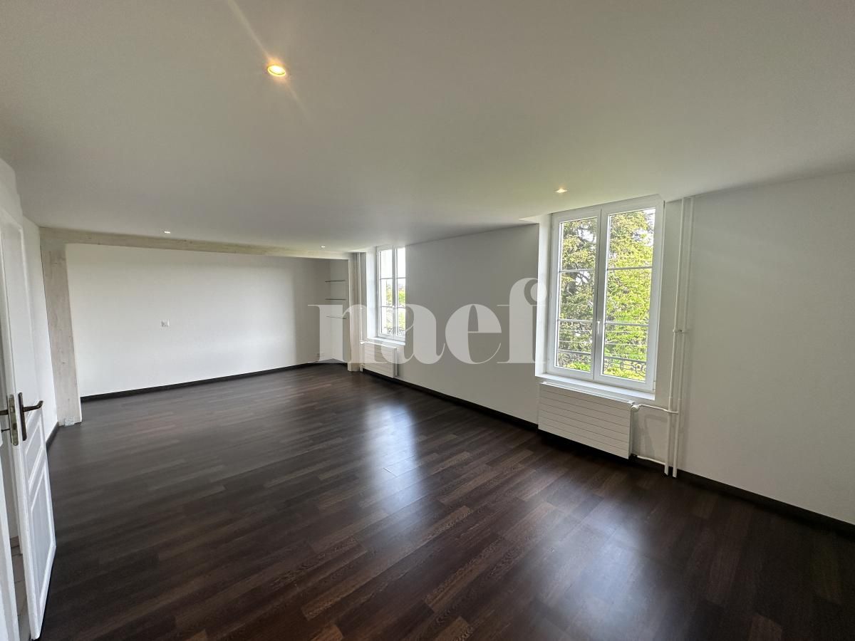 À louer : Appartement 2 Pieces Petit Lancy - Ref : 201506.3004 | Naef Immobilier