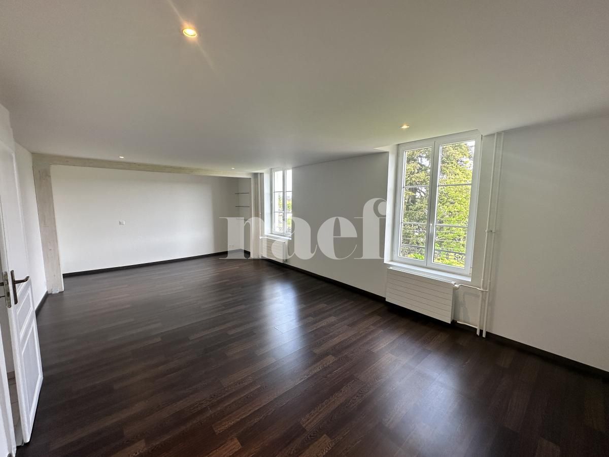 À louer : Appartement 2 Pieces Petit Lancy - Ref : 201506.3004 | Naef Immobilier