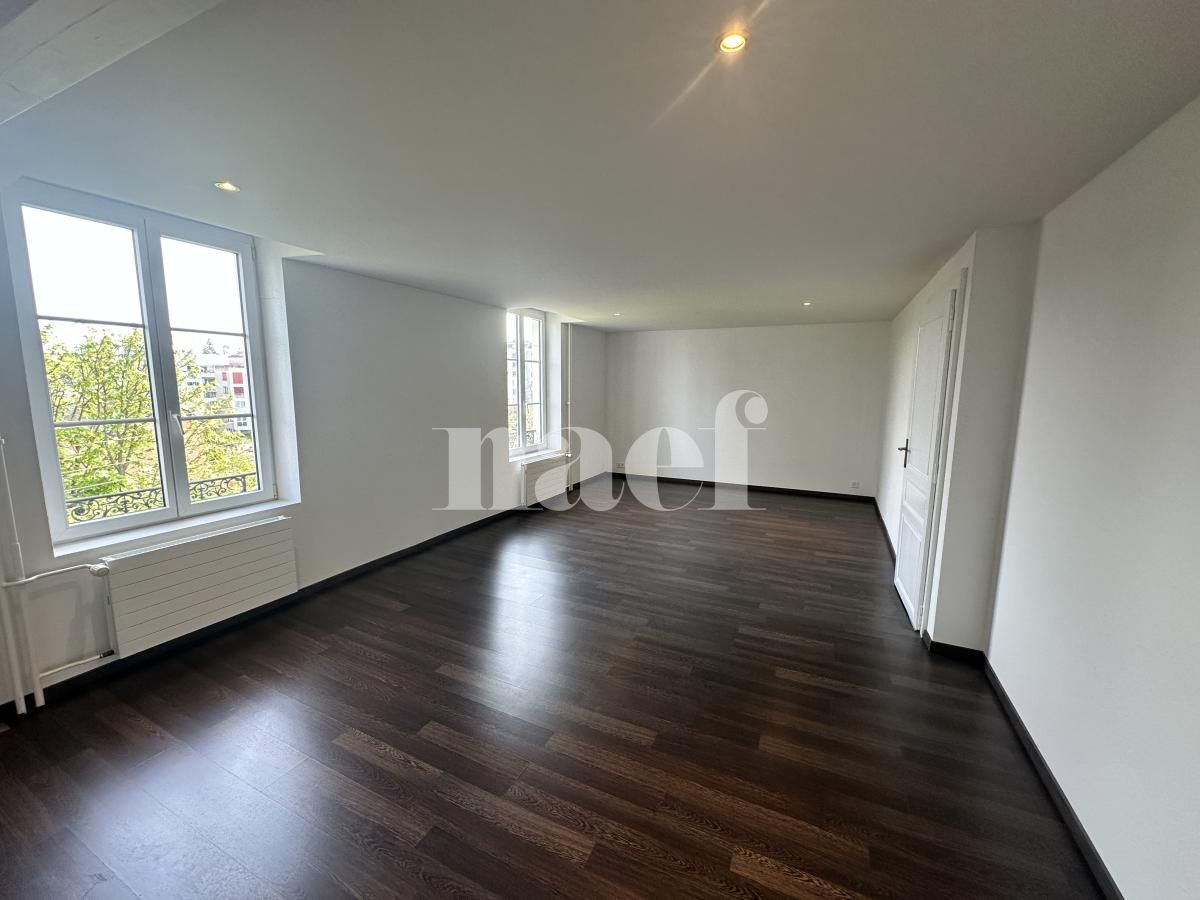 À louer : Appartement 2 Pieces Petit Lancy - Ref : 201506.3004 | Naef Immobilier