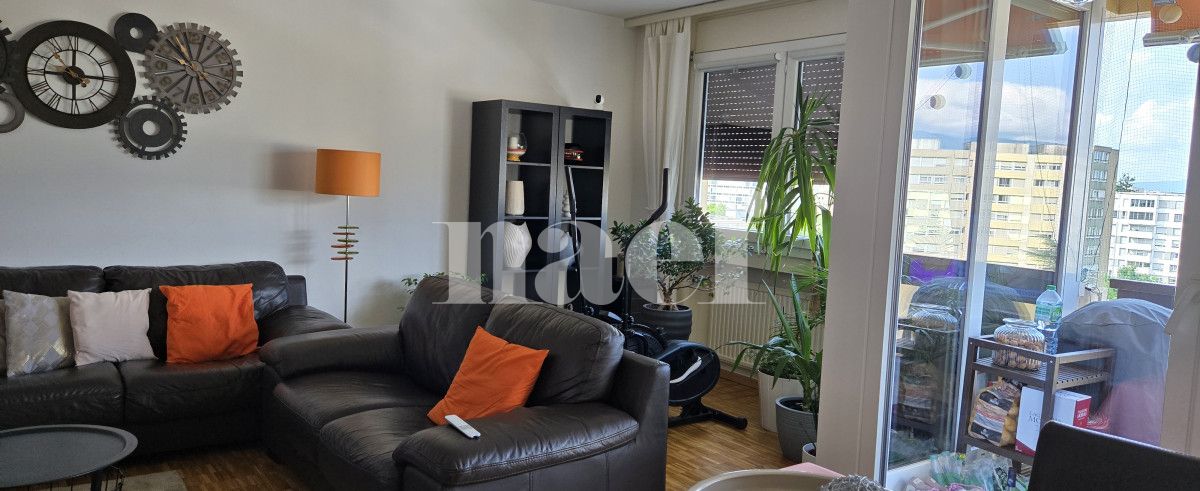 À louer : Appartement 5 Pieces Meyrin - Ref : 201650.8001 | Naef Immobilier