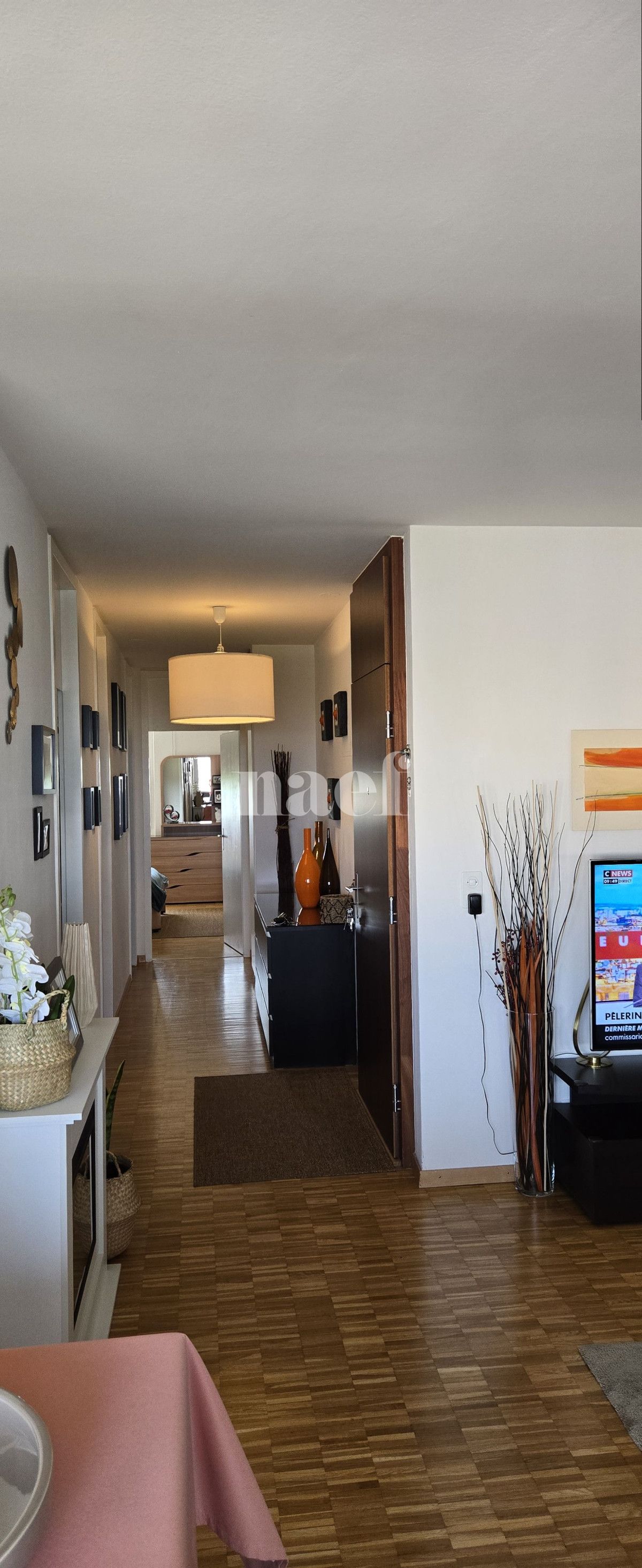 À louer : Appartement 5 Pieces Meyrin - Ref : 201650.8001 | Naef Immobilier