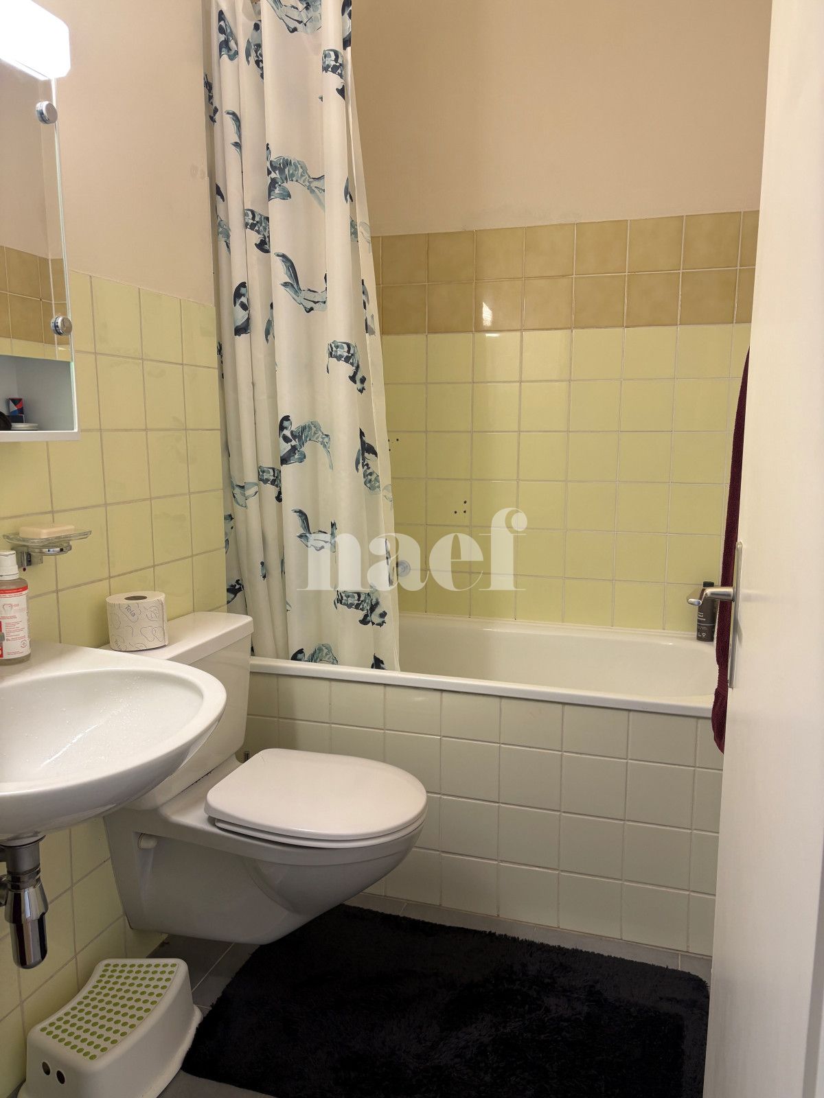 À louer : Appartement 3 Pieces Meyrin - Ref : 201658.2001 | Naef Immobilier