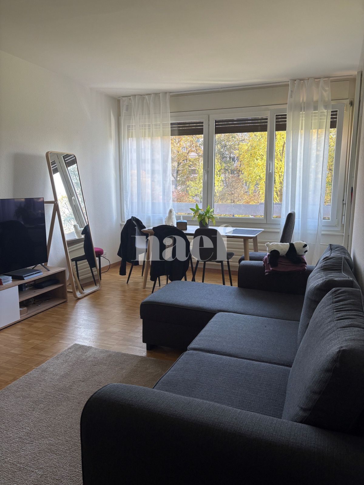 À louer : Appartement 3 Pieces Meyrin - Ref : 201658.2001 | Naef Immobilier